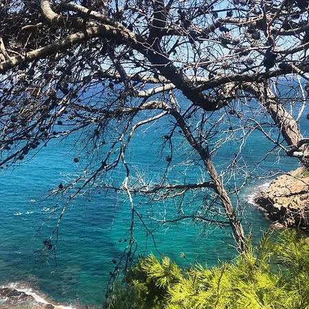 Rocasol - Marina Real Ii *