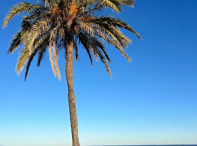 Appartement Rocasol - Marina Real Ii *