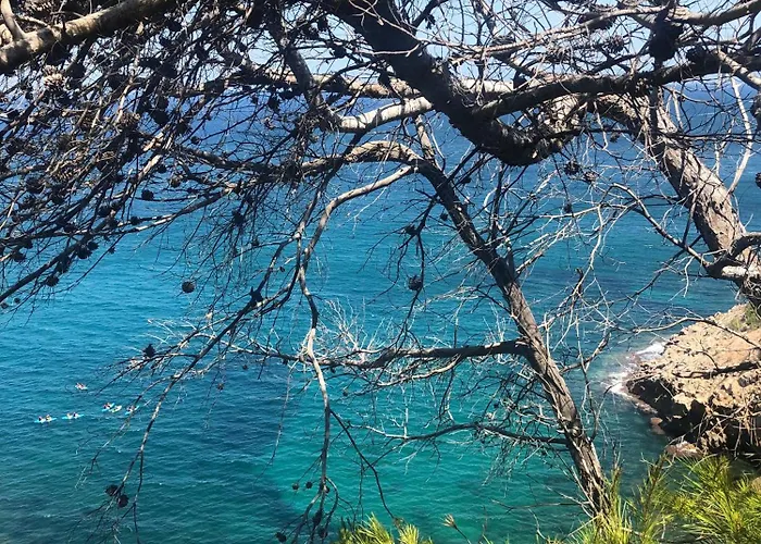 Rocasol - Marina Real Ii *